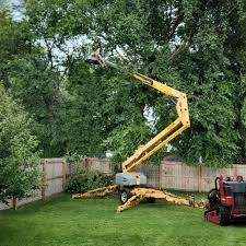 Best Lawn Disease Treatment  in Parksdale, CA