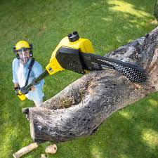 Best Lawn Maintenance Plans  in Parksdale, CA