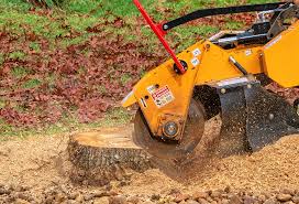 Best Tree Maintenance Programs  in Parksdale, CA