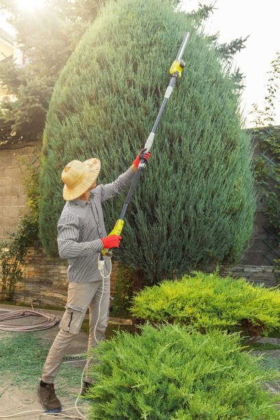 Best Lawn Grading and Leveling  in Parksdale, CA